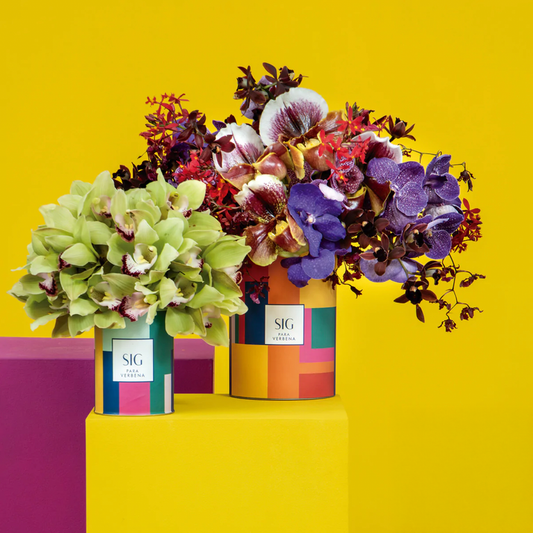 Vibrant floral arrangements in colorful geometric packaging for Sig Bergamin Verbena floral collection review