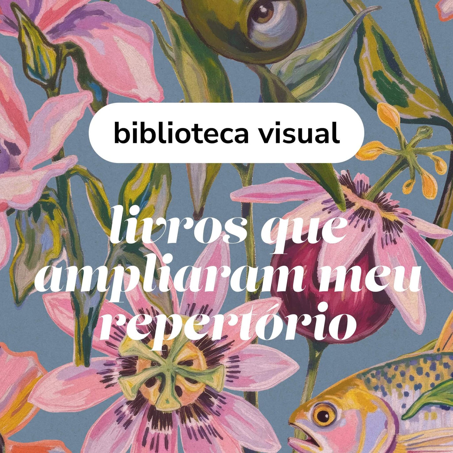 Biblioteca visual - Livros que ampliaram meu repertório